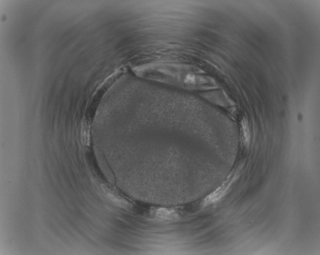 X0000062630180200601181729