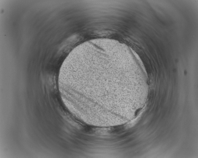 X0000062630182200601181729