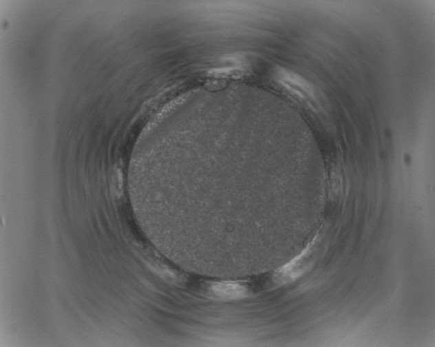 X0000062630183200601181729