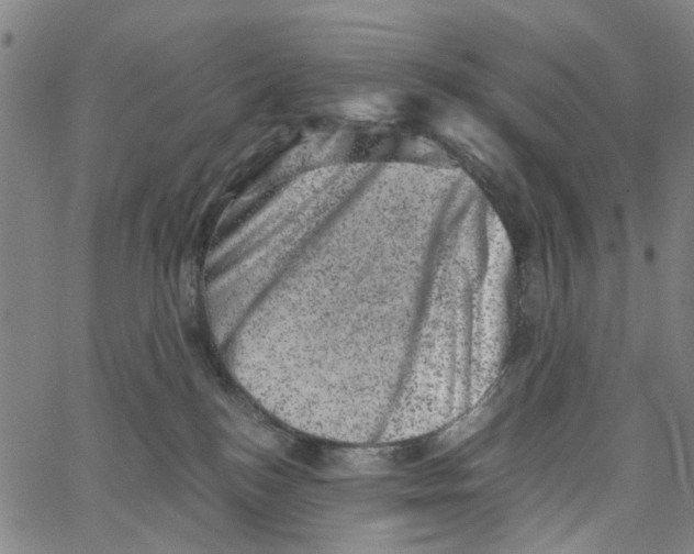 X0000062630184200601181729