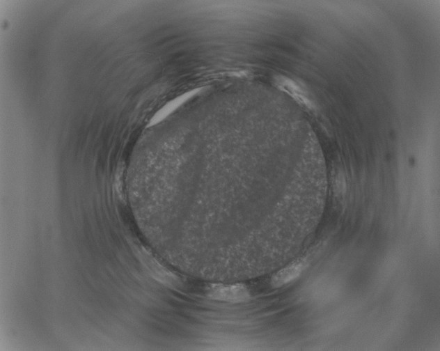 X0000062630185200601181729