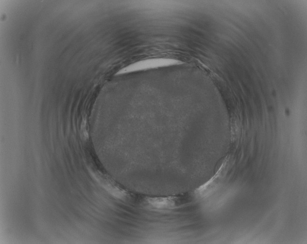 X0000062630187200601181729