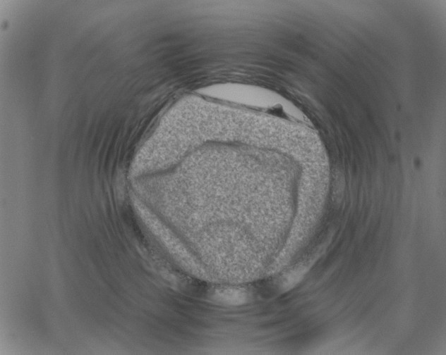 X0000062630189200601181729