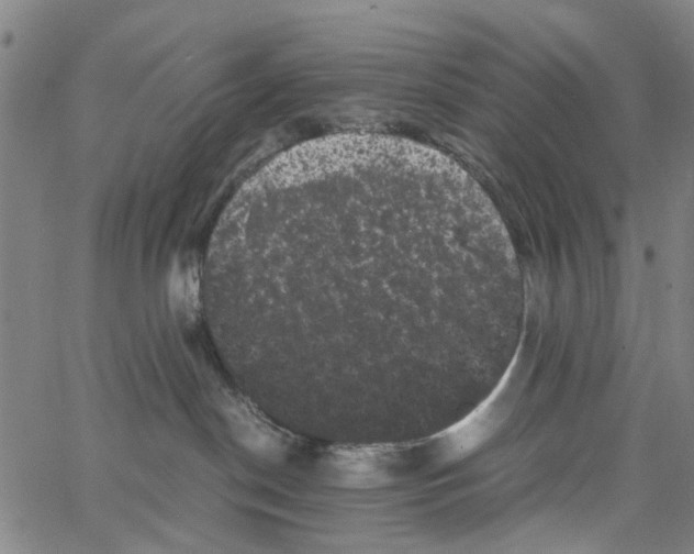 X0000062630190200601181729