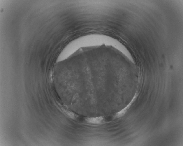 X0000062630191200601181729