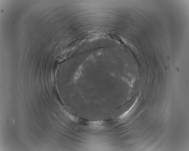 X0000062630192200601181729