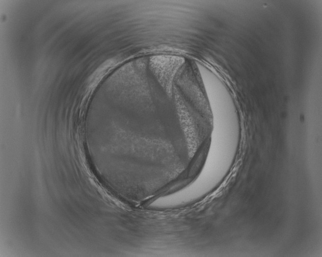 X0000062630193200601181728