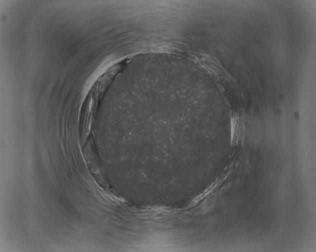 X0000062630195200601181728