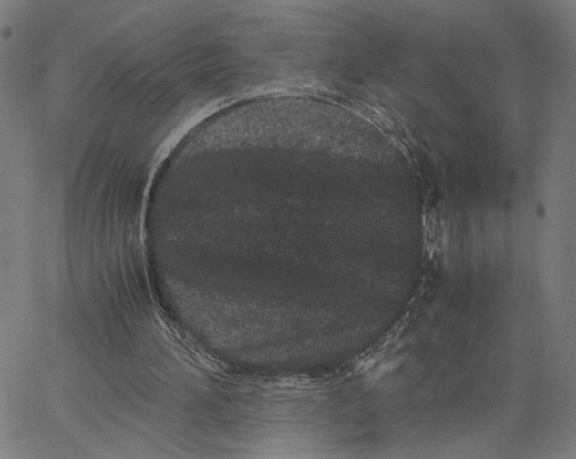 X0000062630196200601181728