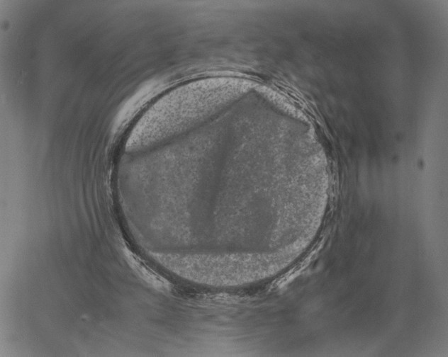 X0000062630197200601181728