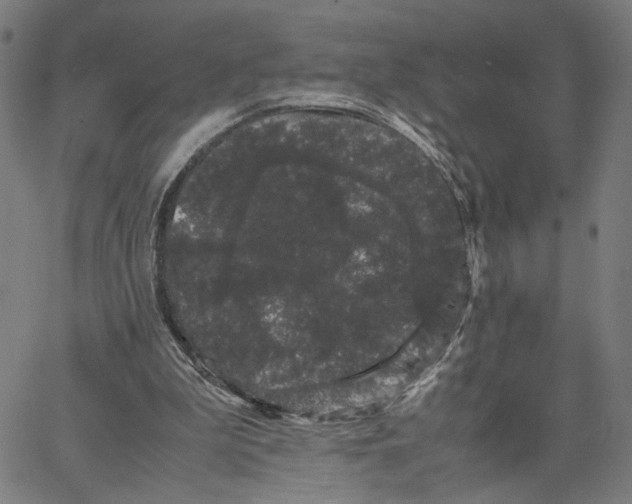 X0000062630199200601181728