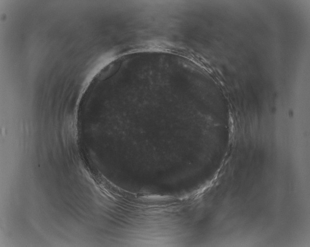 X0000062630200200601181728