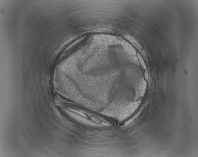 X0000062630201200601181728