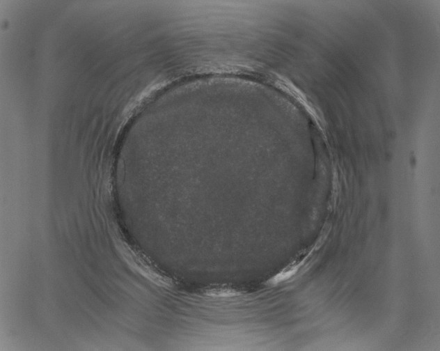 X0000062630203200601181728