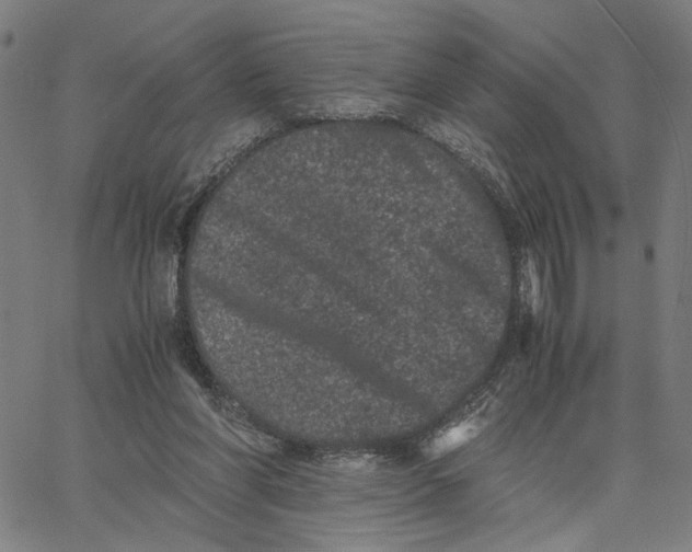 X0000062630206200601181728