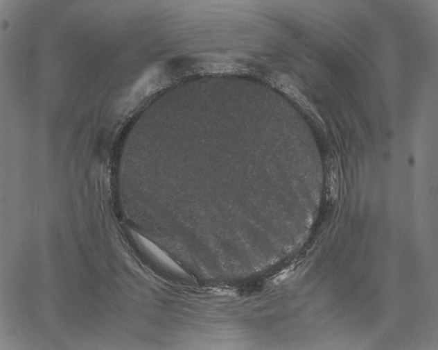 X0000062630207200601181728