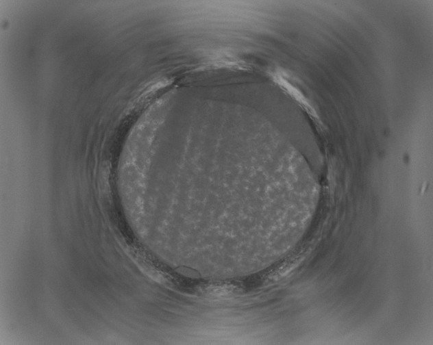 X0000062630209200601181728