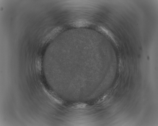 X0000062630210200601181728