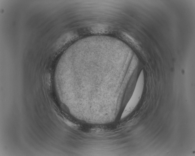 X0000062630211200601181728