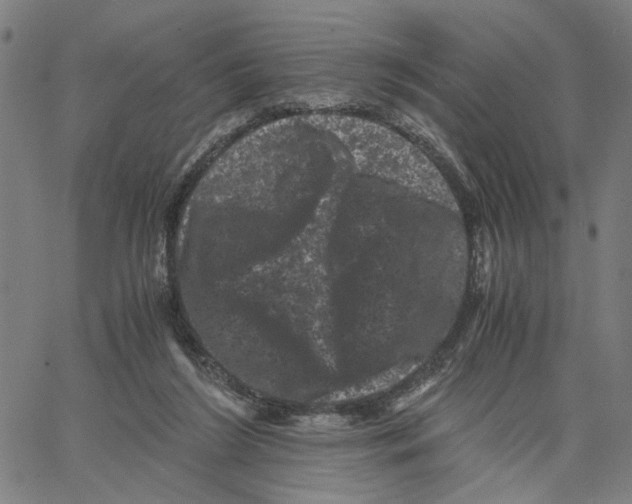 X0000062630212200601181728