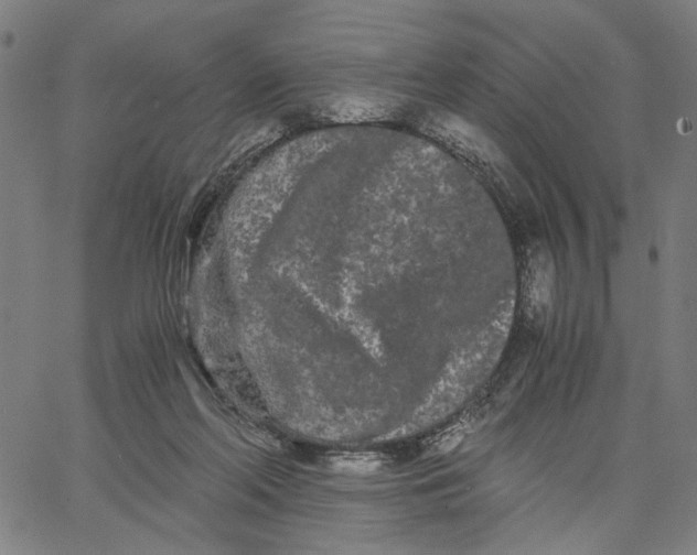 X0000062630214200601181728