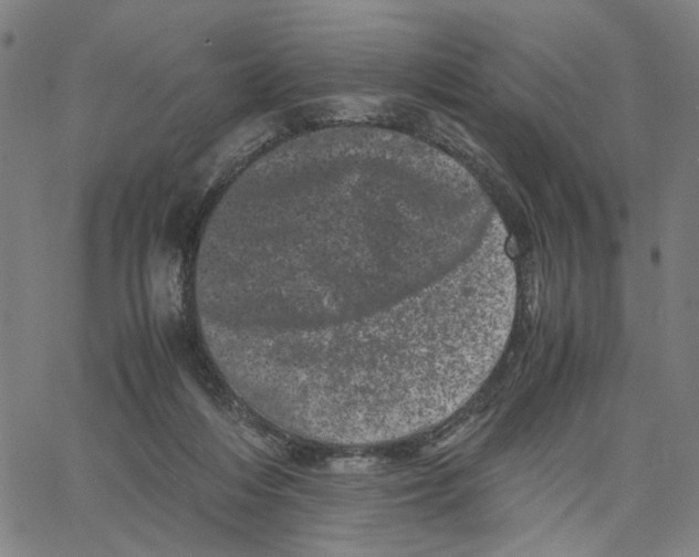 X0000062630216200601181728