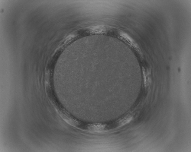 X0000062630217200601181728