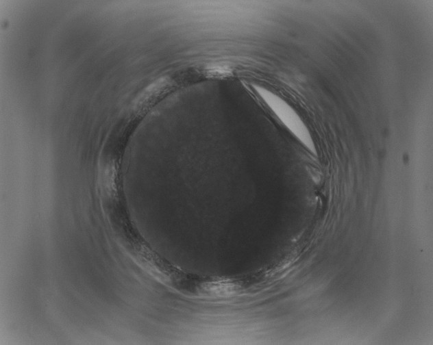 X0000062630219200601181728