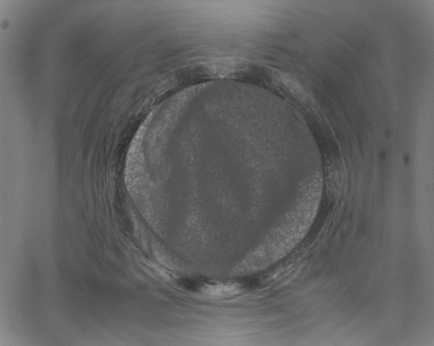 X0000062630221200601181728