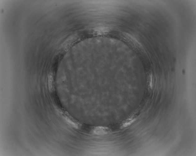 X0000062630222200601181728