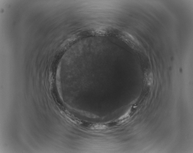 X0000062630223200601181728