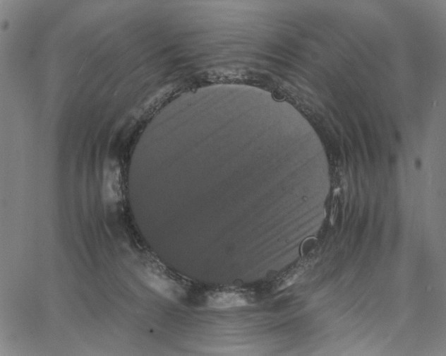 X0000062630224200601181728