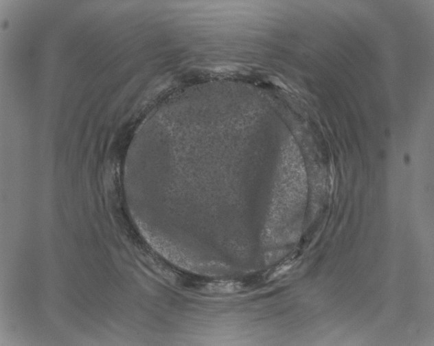 X0000062630225200601181728