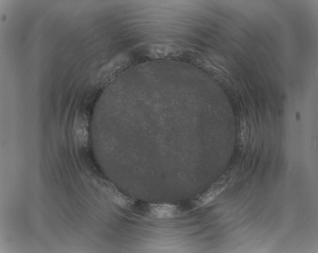 X0000062630226200601181728