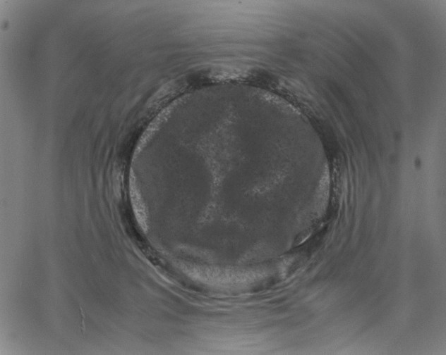 X0000062630227200601181728