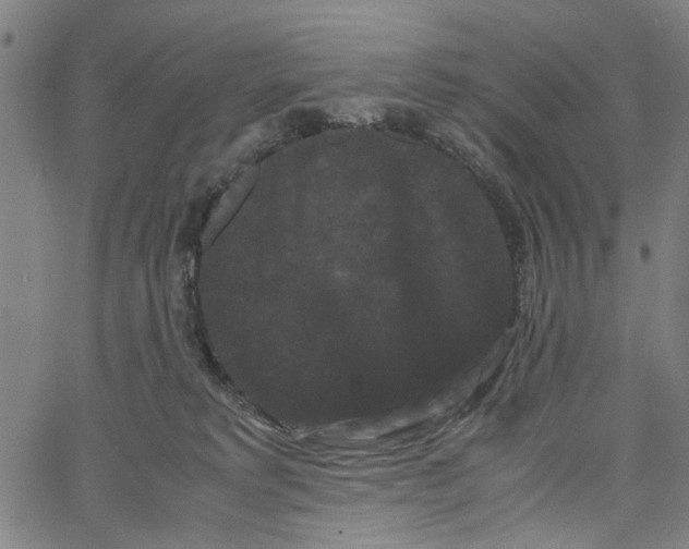 X0000062630229200601181728