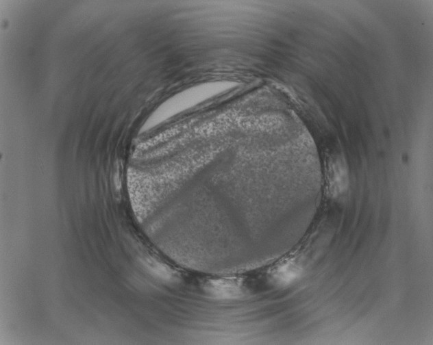 X0000062630232200601181728