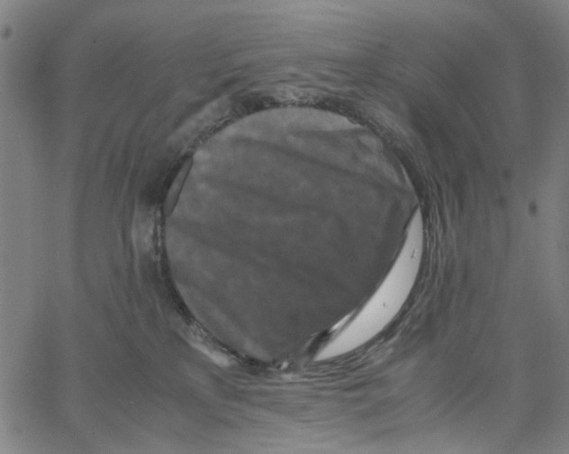 X0000062630233200601181727