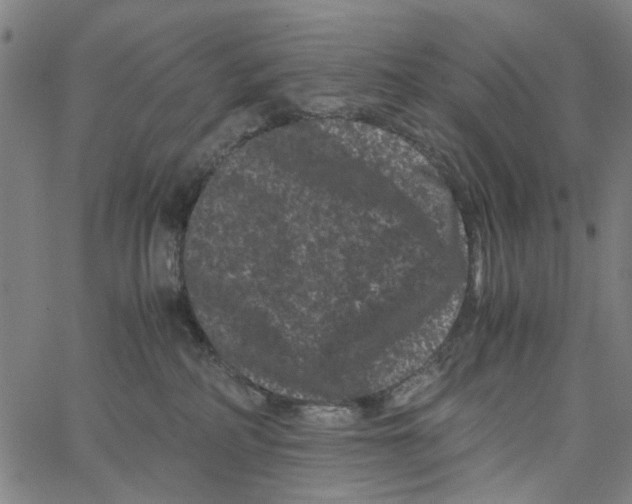 X0000062630234200601181727