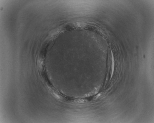 X0000062630235200601181727