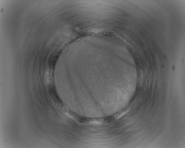 X0000062630236200601181727