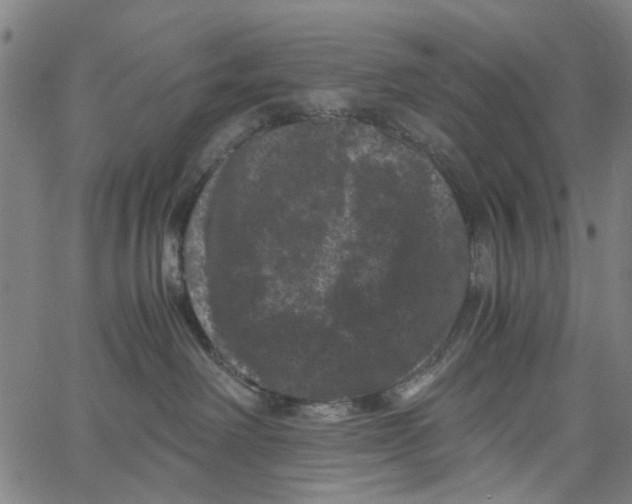 X0000062630238200601181727