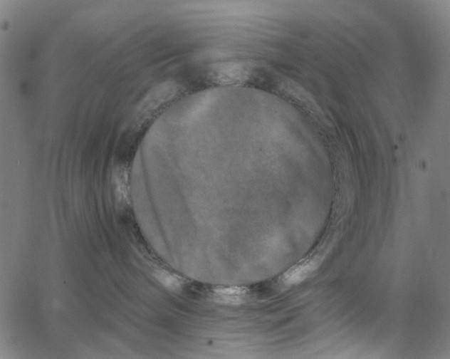 X0000062630240200601181727