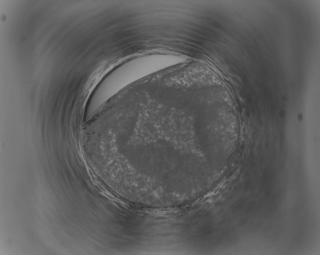 X0000062630241200601181727