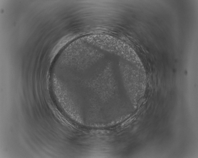 X0000062630242200601181727