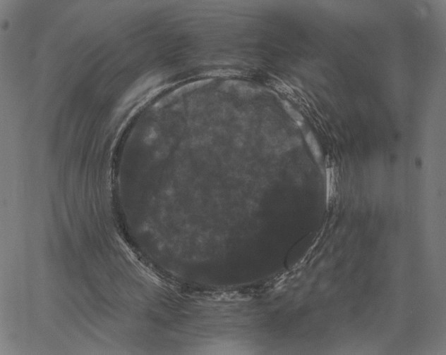 X0000062630243200601181727