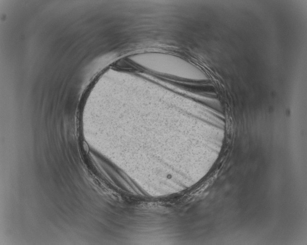 X0000062630244200601181727