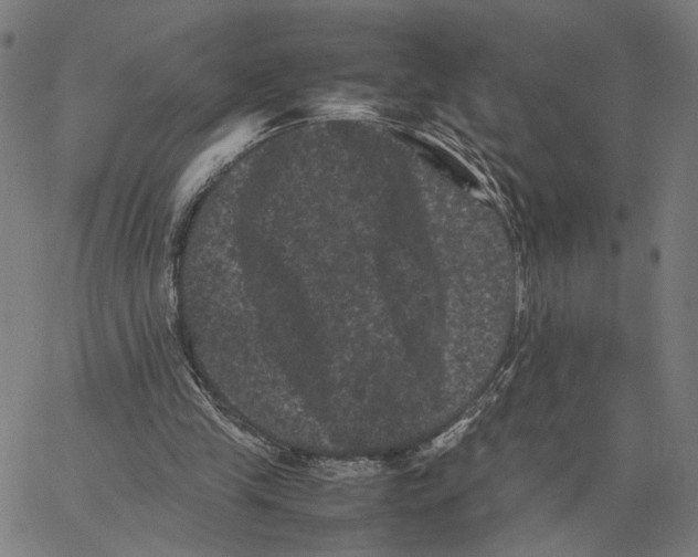 X0000062630245200601181727