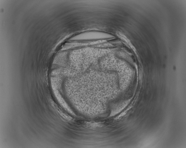 X0000062630249200601181727