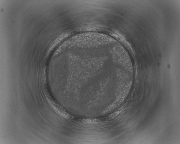 X0000062630250200601181727